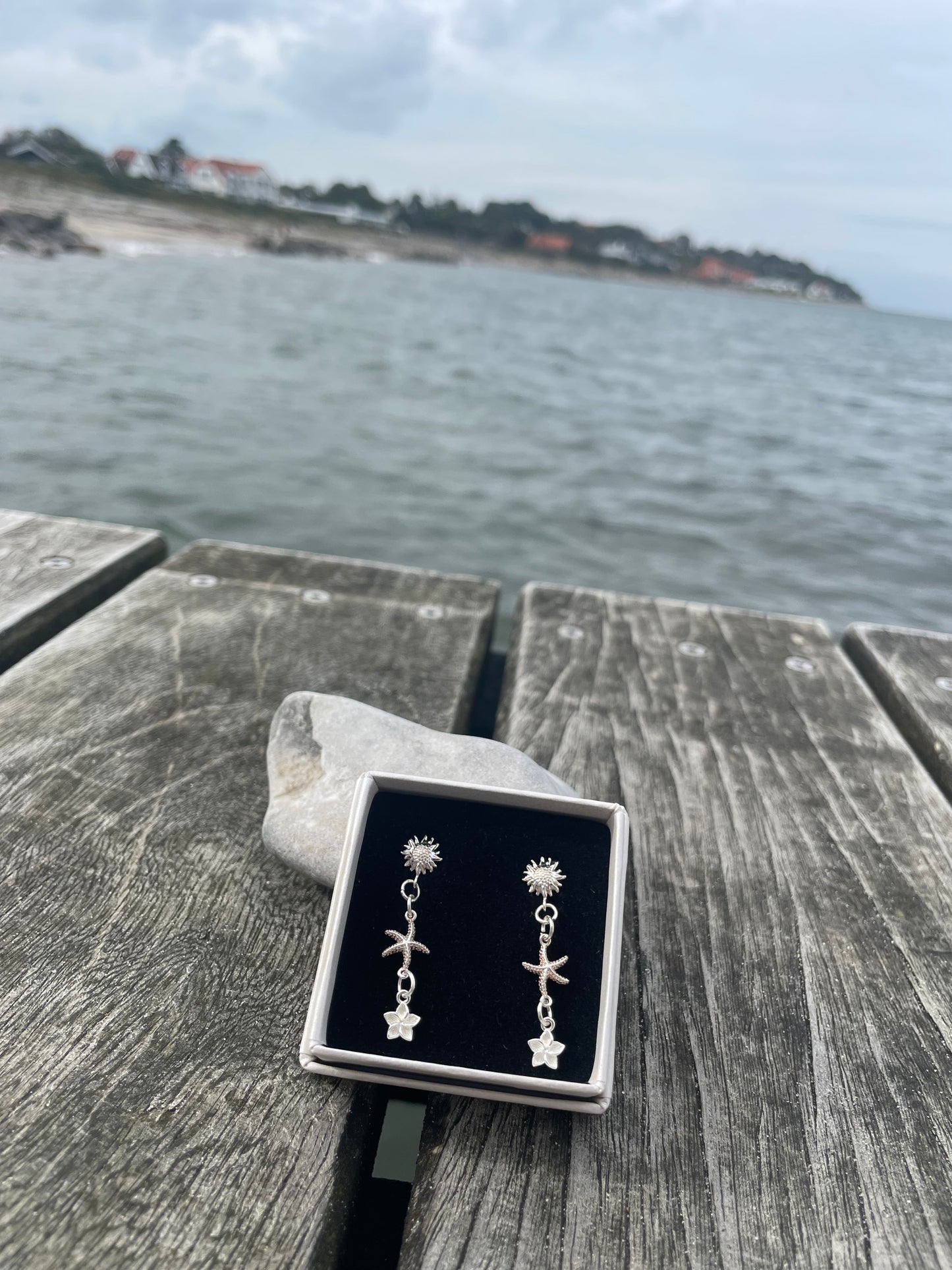 Valentina ørestikker