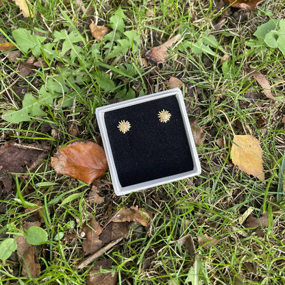 Frit valg ørestikker