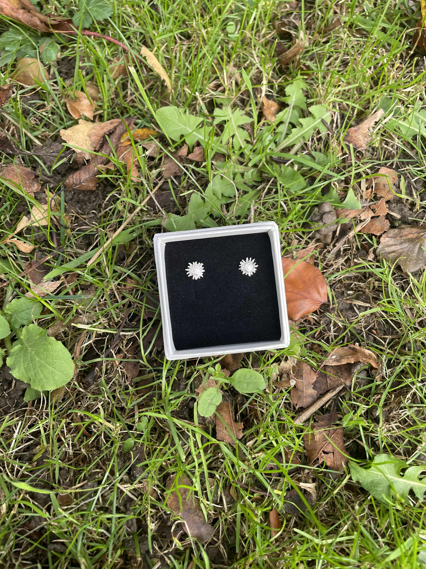 Frit valg ørestikker