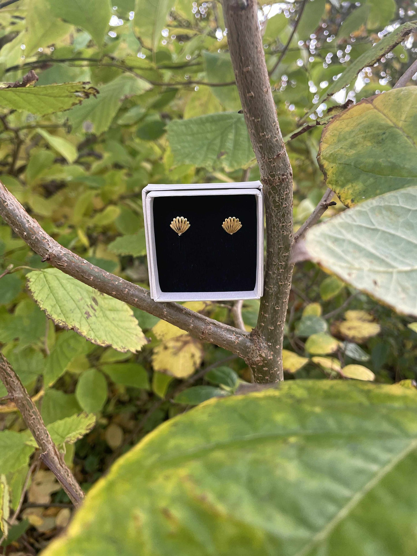 Frit valg ørestikker