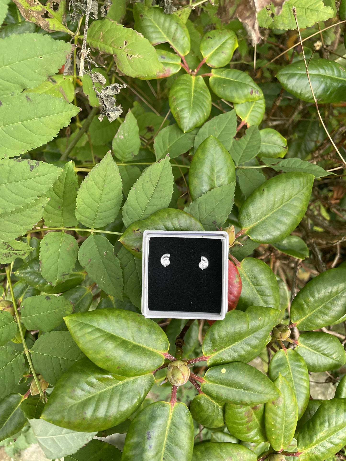 Frit valg ørestikker